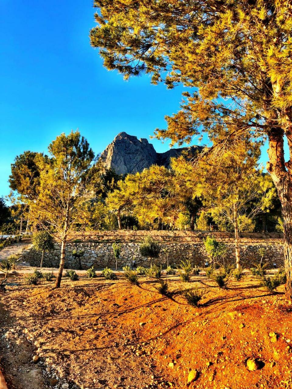 Nature Suites Puig Campana By Ar Hotels & Resorts فينيسترات المظهر الخارجي الصورة